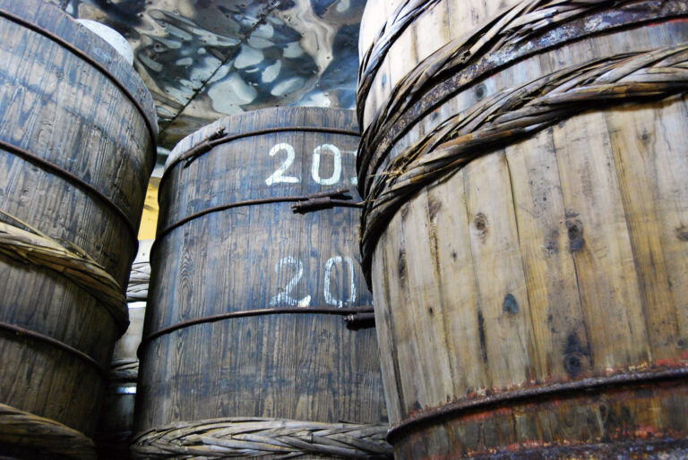 発酵文化芸術祭 金沢―みえないものを感じる旅へ ｜ 2024年9月21日より金沢21世紀美術館と地域の醸造蔵を舞台に開催のメイン画像