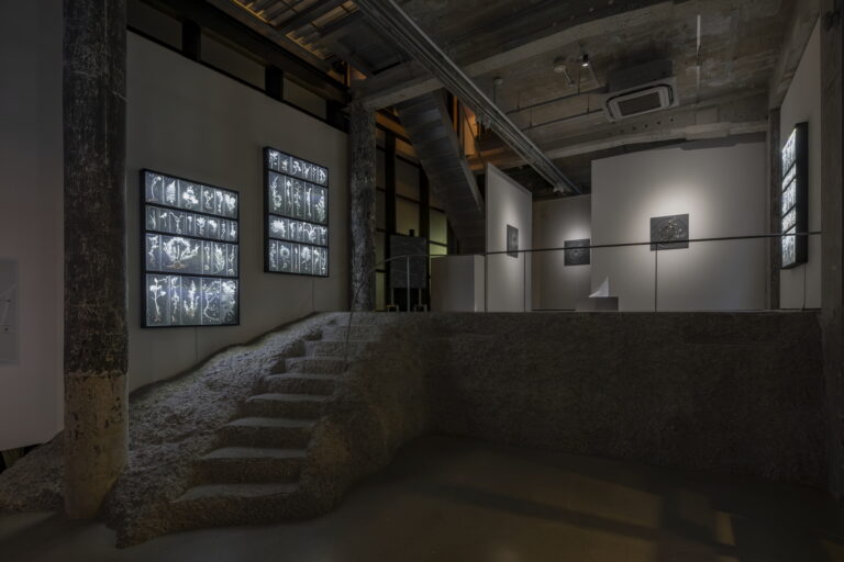 国際的に注目を集めるアーティスト・佐々木類個展「不在の記億」、夜のアートスペース【WALL_alternative】で開幕。のメイン画像