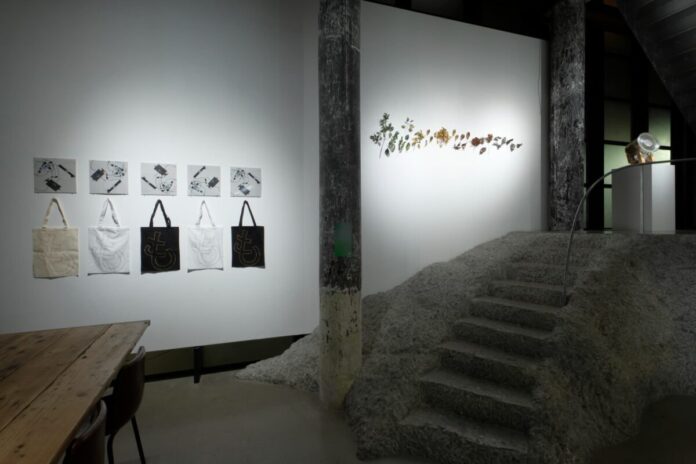 メディアアートを未来へ残すには？「Collection - Correction　メディアアートの再編成と作品の延命」WALL_alternative（東京・西麻布）で開催中のメイン画像