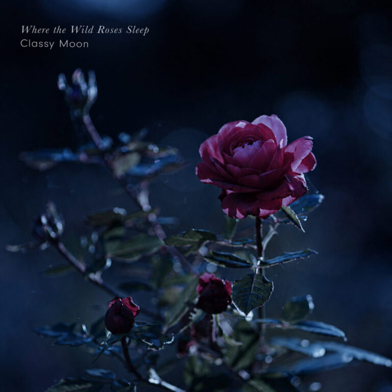 古い童話をめくるように、心を幻想の世界へと誘うヒーリング・ピアノ作品。Classy Moon『Where the Wild Roses Sleep』8月21日配信開始のメイン画像