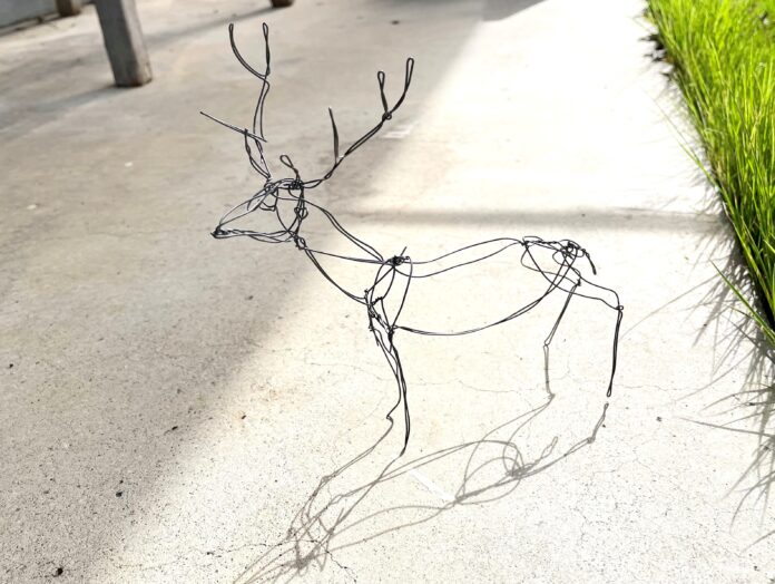 能登地域の中高生を対象としたアートワークショップ開催のメイン画像