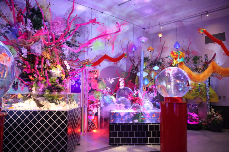 期間限定アクアリウム 「くらしき金魚ミュージアム〜龍と金魚のものがたり」 が本日オープン！幻想的な金魚アートの世界が倉敷に登場のメイン画像