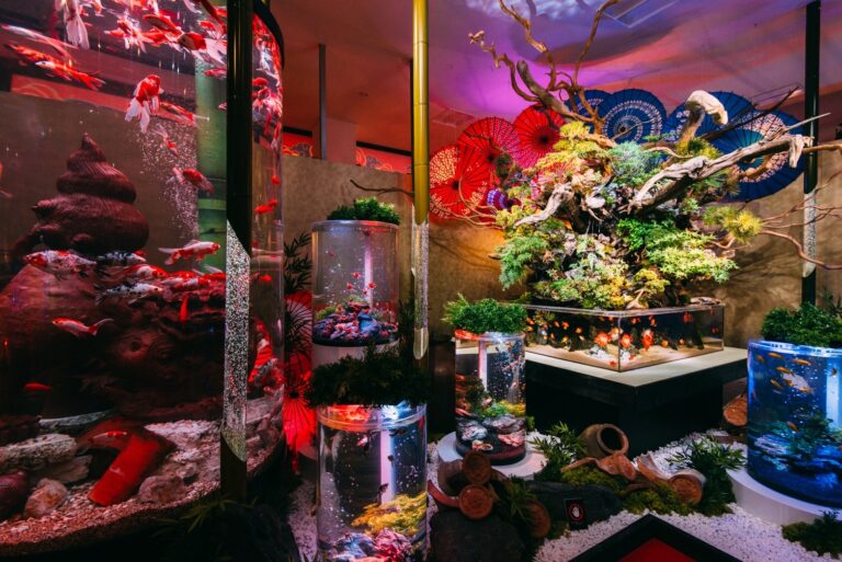 【4/25 OPEN】非日常を持ち帰る。金魚が舞うアート体験空間「沖縄金魚ミュージアム」が、あしびなーにいよいよ明日オープンのメイン画像