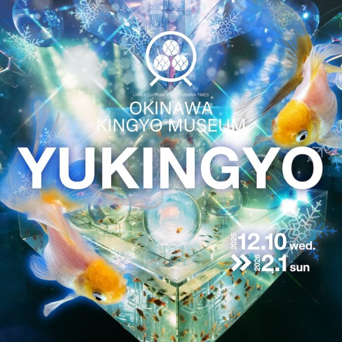 南国沖縄、白い金魚が織りなす雪景色「YUKINGYO」企画展が沖縄金魚ミュージアムで本日より開催！白いツリーと雪降る演出が調和し、館内を冬仕様へと彩る期間限定デザインのメイン画像