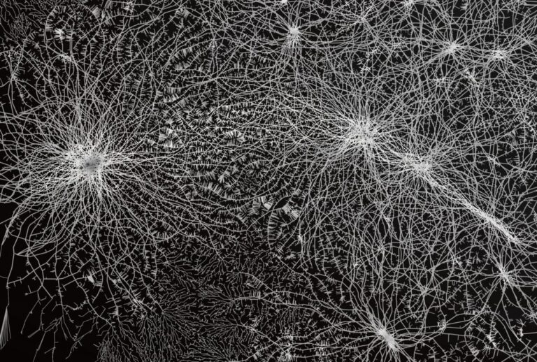 Rhizomatiks個展「After Understanding」をKOTARO NUKAGA（天王洲）で開催のメイン画像