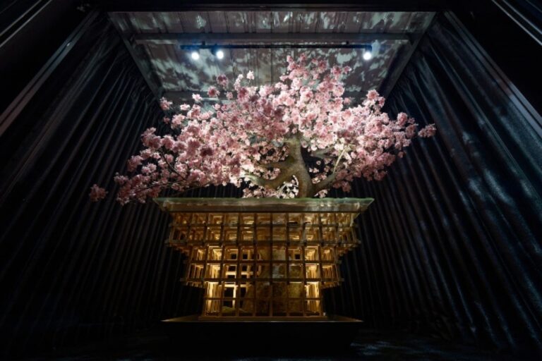 RED° TOKYO TOWERが3周年で新章へ。 “桜・着物” 日本文化の新体験が4月11日新登場　リニューアルに向けたクラウドファンディングも4月19日始動！のメイン画像