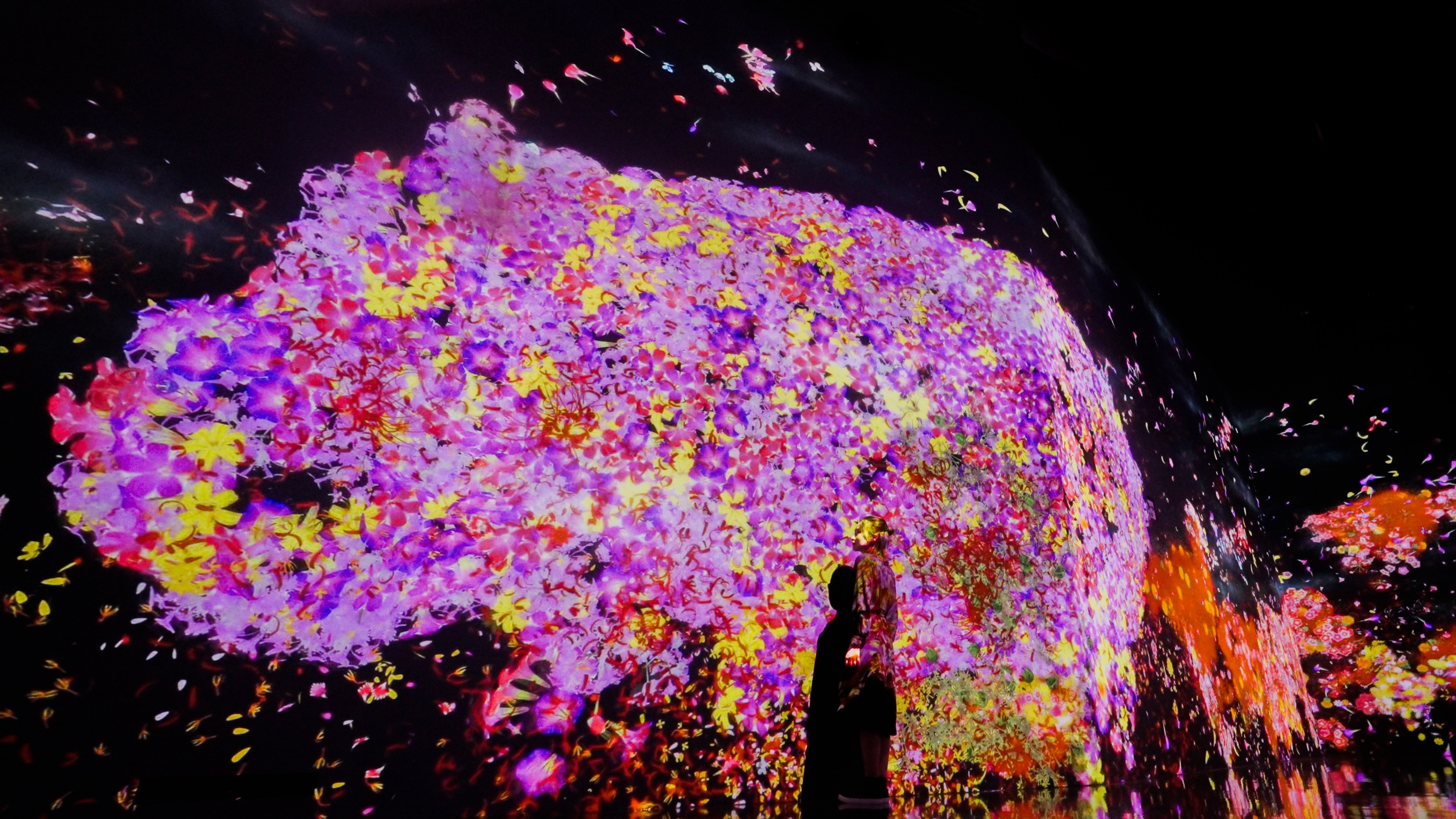 チームラボ、シンガポールの常設展「teamLab Future World」で、新たに3作品を公開。既存作品も複数リニューアル。のサブ画像1_チームラボ《花と共に生きる動物たち - A Whole Year per Year》© チームラボ