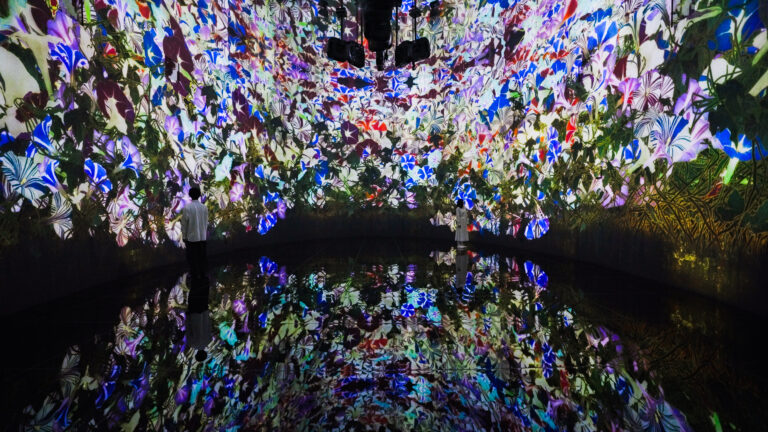 チームラボ、北海道・札幌 宮の森にオープンする美術館「J Art Foundation」にて、《教会跡に増殖する無量の生命》を5月2日(金) から展示。チケット発売中。のメイン画像