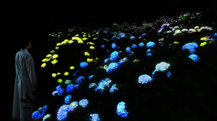 7339_1172_main 夜の植物園でアジサイが光り輝く作品《紫陽花の結晶》を初公開。『チームラボ ボタニカルガーデン 大阪』にて、6月10日(水)からのメイン画像