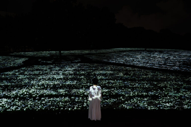 見頃を迎えた白いニチニチソウが、夜の植物園で一面に光り輝く。『チームラボ ボタニカルガーデン 大阪』、作品《生命は、闇にまたたく海》を初公開。9月3日(木)から9月27日(日)までのメイン画像