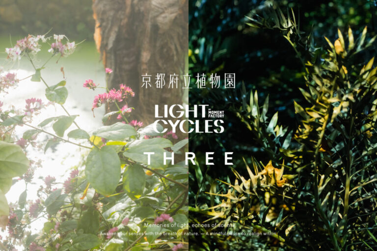 THREEが日本最古の公立植物園「京都府立植物園」とアートナイトイベント「LIGHT CYCLES KYOTO」にて、インスタレーションイベントを開催のメイン画像