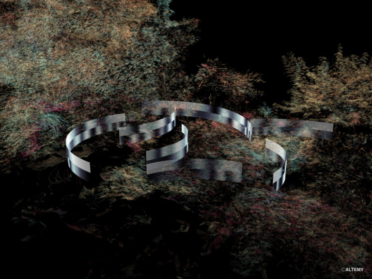 HOSOO GALLERY「庭と織物 —— The Shades of Shadows」展 開催のメイン画像