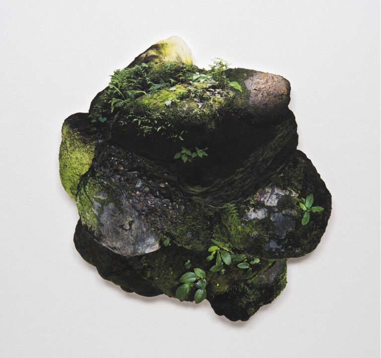 椎橋良太「時のトラバース」鎌倉で開催 —写真を素材に彫刻的アプローチで構成された作品群が、風景に潜む記憶と生命のかたちを浮かび上がらせるのメイン画像