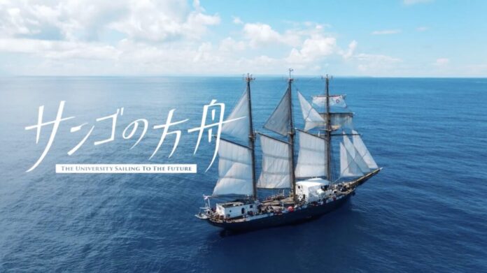 79514_33_main 【活動報告&映像公開】2025年9月に実施した「サンゴの方舟ー洋上大学ー」の航海記録とドキュメンタリー映像を一挙公開。のメイン画像