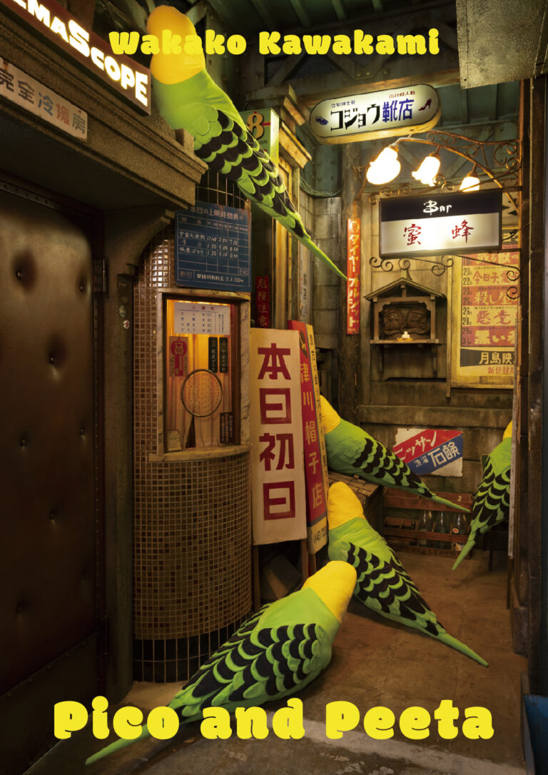 11月21日(木)より東京都中央区勝どきにあるギャラリー「@ btf」にて川上和歌子展「ピコとピータ」を開催のメイン画像