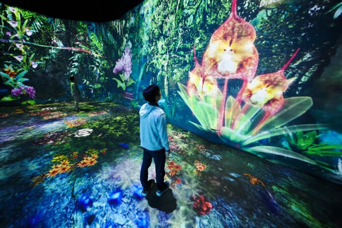 シンガポールの国立公園ガーデンズ・バイ・ザ・ベイとネイキッドが初コラボ　プロジェクションマッピング展『The Hidden Forest』を発表のメイン画像