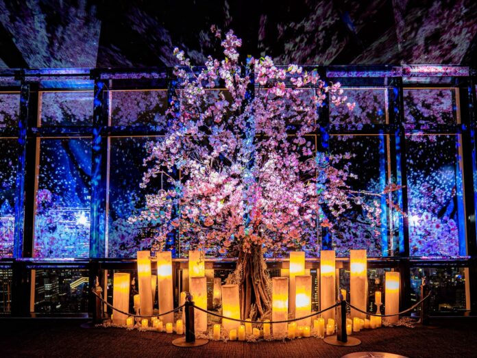 ネイキッド×東京タワー 春の夜景が桜色に染まるマッピングショー『TOKYO TOWER CITY LIGHT FANTASIA - Spring Concerto 2025 -』3月1日(土)から開催のメイン画像