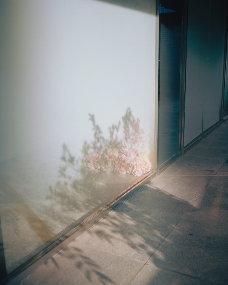 「KYOTOGRAPHIE 京都国際写真祭 2025」へ本年も協賛　サテライトイベント「KG+」にも参画し 写真家 服部 真拓氏の個展を館内で開催のメイン画像