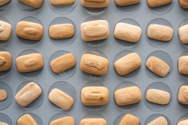 ホテルのアートギャラリーにて　作家 佐原　真央子 個展を開催　 “ここに在る”から“どこか誰かのもとにも在りえる”へのメイン画像