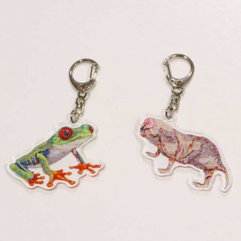 【アトア×NAMIKO】平面水族館（キーホルダー）新しく2種類の生きものが仲間入り！のメイン画像
