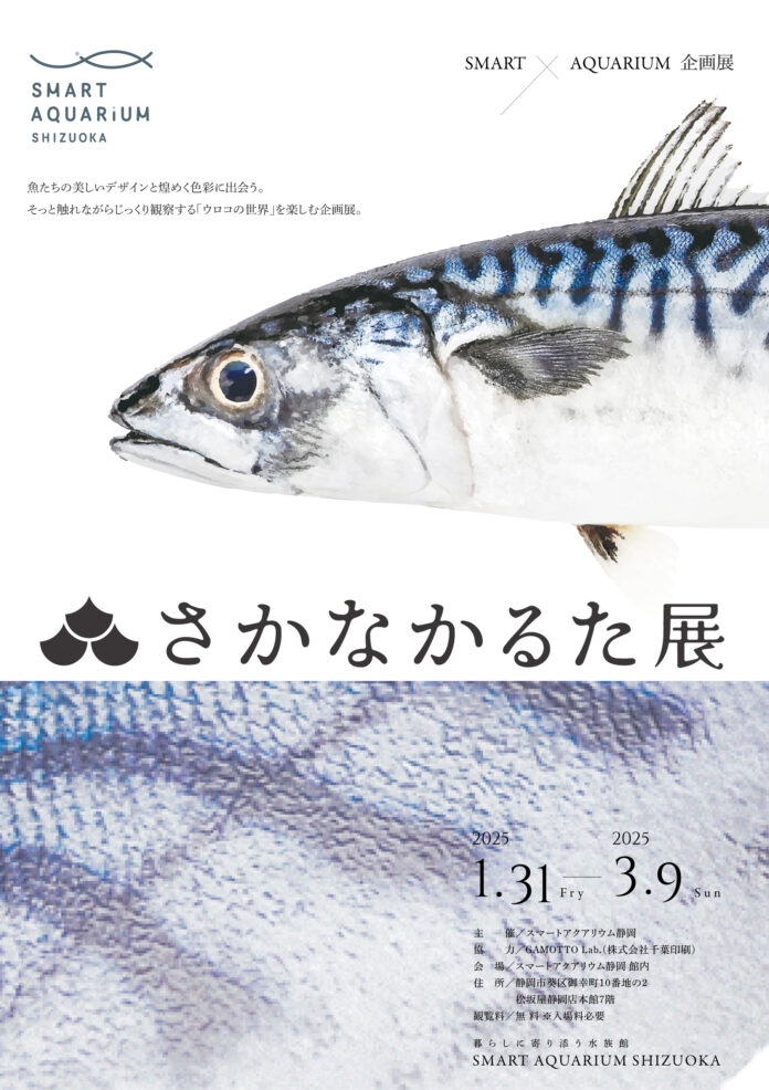 コラボ企画展ウロコの凹凸まで特殊な印刷で再現した『さかなかるた』60種を拡大展示！触っても楽しい“ウロコの世界”を体感しよう！【スマートアクアリウム静岡】のメイン画像