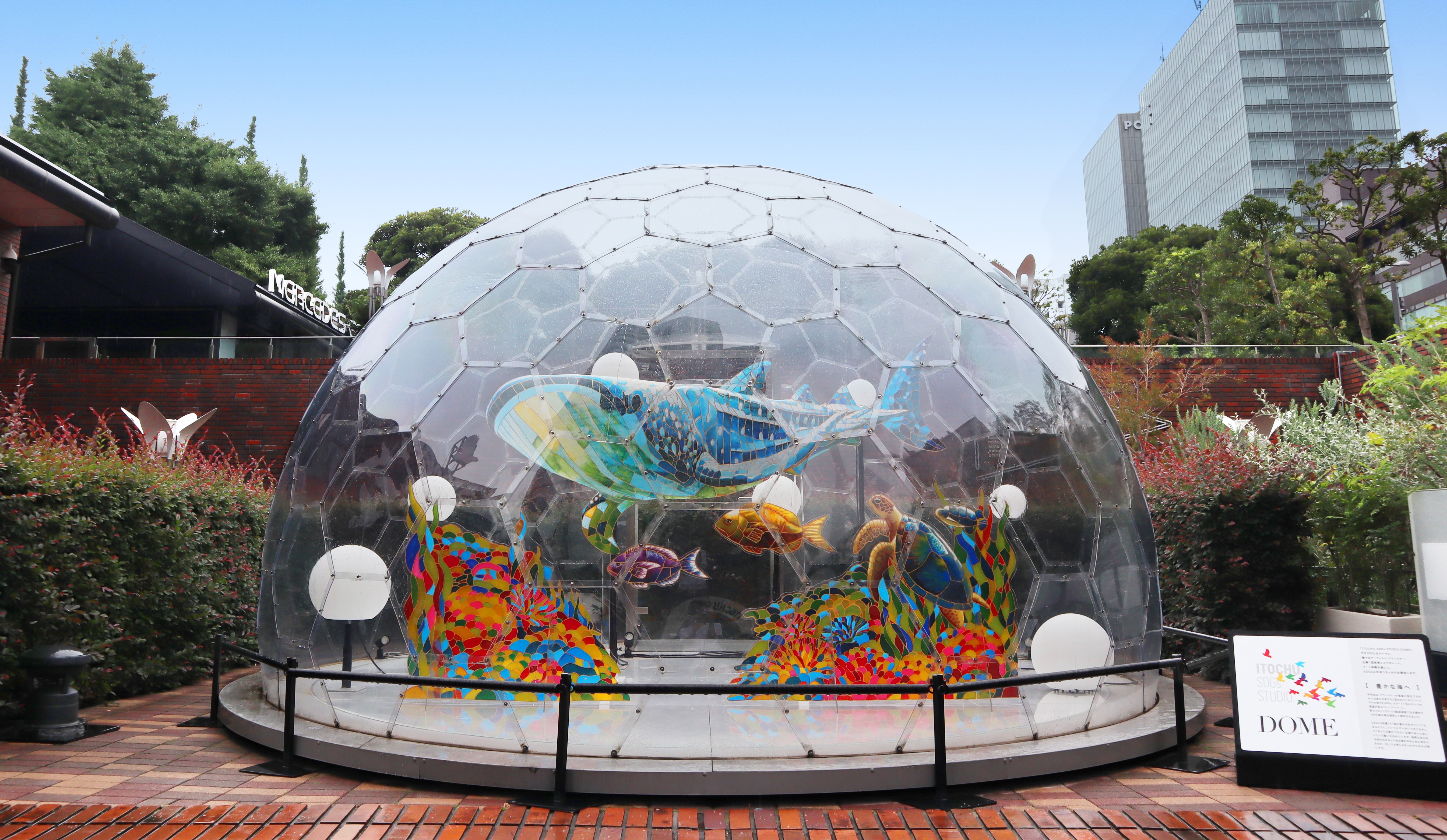 都心で泳ぐ美しい海の生き物たち「ITOCHU SDGs STUDIO DOME」第六弾 「豊かな海へ」ディンプルアートインスタレーションのサブ画像1