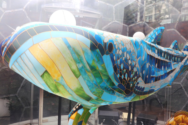 都心で泳ぐ美しい海の生き物たち「ITOCHU SDGs STUDIO DOME」第六弾 「豊かな海へ」ディンプルアートインスタレーションのサブ画像2