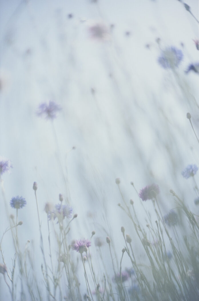 瀧本幹也 写真展「LUMIÈRE / PRIÈRE」のメイン画像