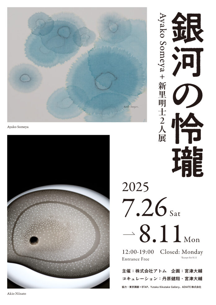 Ayako Someya＋新里明士2人展 銀河の怜瓏のメイン画像