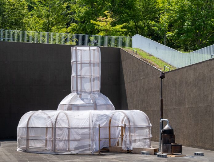 AOMORI GOKAN アートフェス 2024「つらなりのはらっぱ」のメイン画像