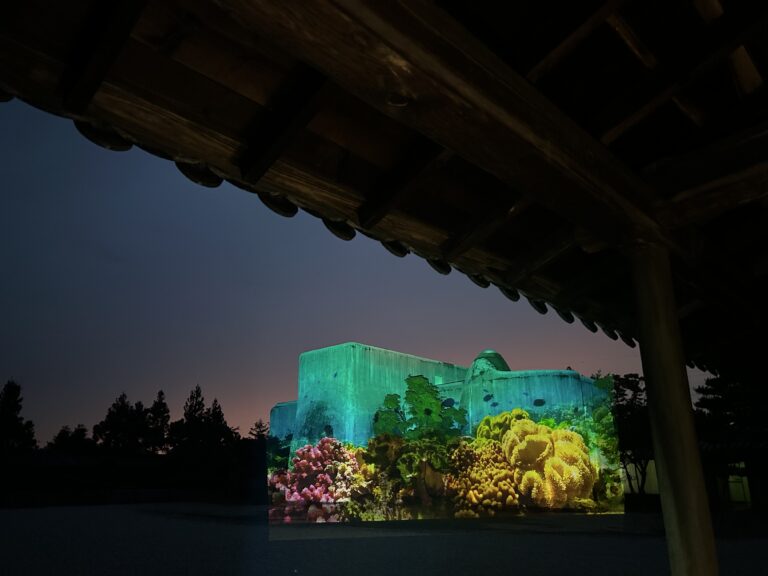 プロジェクションマッピングと庭園ライトアップが糸魚川の秋夜を彩る「翠のきらめき〜Night Garden〜」開催決定のメイン画像