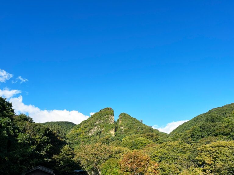 光と音が彩る世界遺産「佐渡島の金山」──この秋、蜷川実花・宮田裕章・桑名功らが創る特別なアート体験「世界遺産×アートプロジェクト」の実施決定のメイン画像