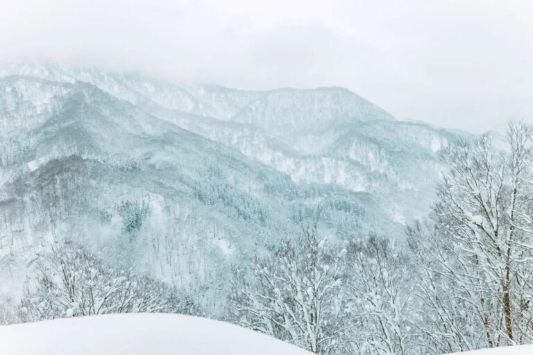 【参加者募集】《越後妻有の冬 2026》アケヤマシンポジウム「都市と山、共に生きる方法を考える」のメイン画像