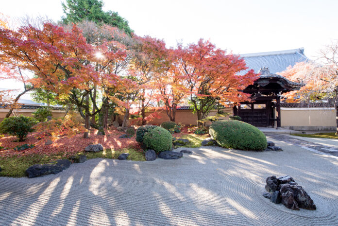 「工芸」と「近代洋画」に注目するアートフェア「CURATION⇄FAIR Kyoto」2025年11月16日（日）− 18日（火）京都で初開催決定！のメイン画像