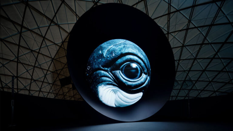 大阪・関西万博で112万人以上が没入体験した「BLUE OCEAN DOME」日本科学未来館にて特別上映のメイン画像