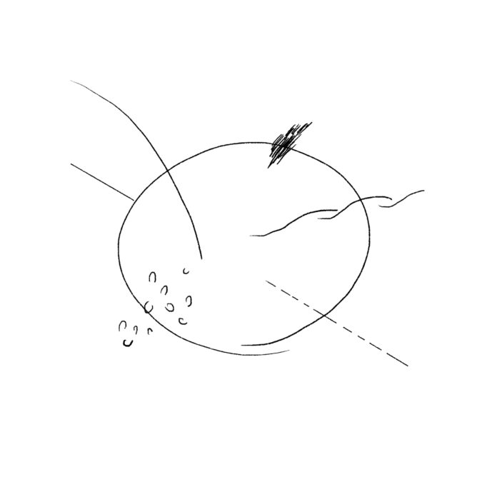 風景と食設計室ホーによる虎ノ門のかつての風景と足元の世界を手がかりに、ひと粒から広がる物語を紡ぐインスタレーション『帰り道、今夜の夕食について考えながら』展開催のメイン画像
