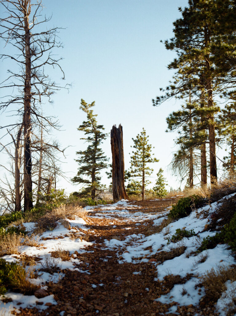 【京都岡崎 蔦屋書店】写真家 石橋純による関西初の個展「41247」を4/19(土)より開催のメイン画像