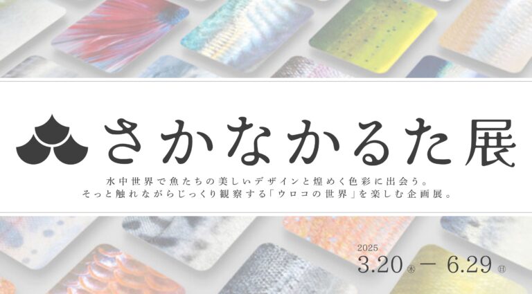 魚のキラめき、ウロコを再現した「さかなかるた」60種を拡大展示『さかなかるた展』開催のメイン画像